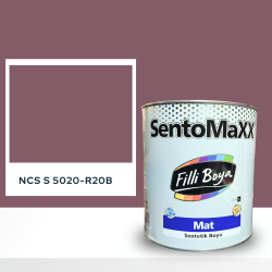 Filli Boya Sentomaxx Boya NCS S 5020-R20B