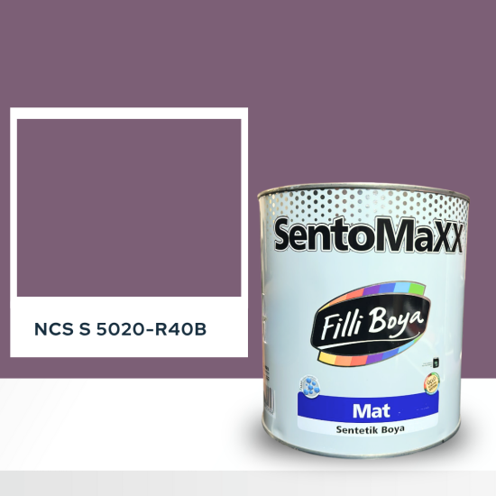 Filli Boya Sentomaxx Boya NCS S 5020-R40B Filli Boya Sentomaxx Boya NCS S 5020-R40B