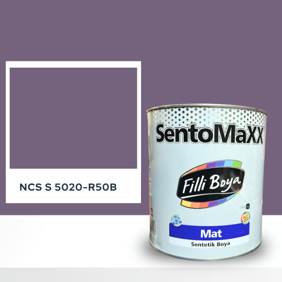 Filli Boya Sentomaxx Boya NCS S 5020-R50B