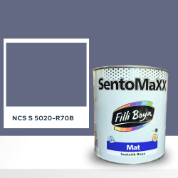 Filli Boya Sentomaxx Boya NCS S 5020-R70B