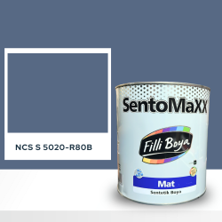 Filli Boya Sentomaxx Boya NCS S 5020-R80B