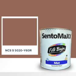 Filli Boya Sentomaxx Boya NCS S 5020-Y60R