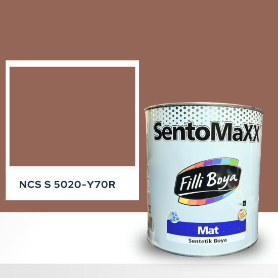 Filli Boya Sentomaxx Boya NCS S 5020-Y70R Filli Boya Sentomaxx Boya NCS S 5020-Y70R