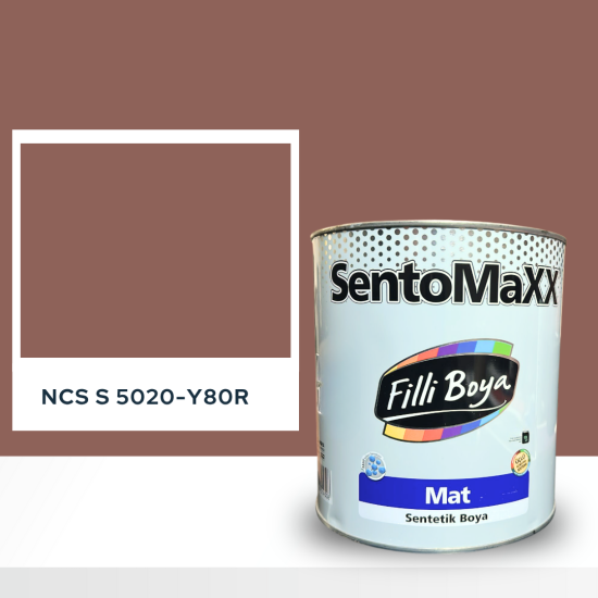 Filli Boya Sentomaxx Boya NCS S 5020-Y80R