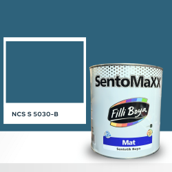 Filli Boya Sentomaxx Boya NCS S 5030-B