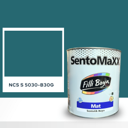 Filli Boya Sentomaxx Boya NCS S 5030-B30G