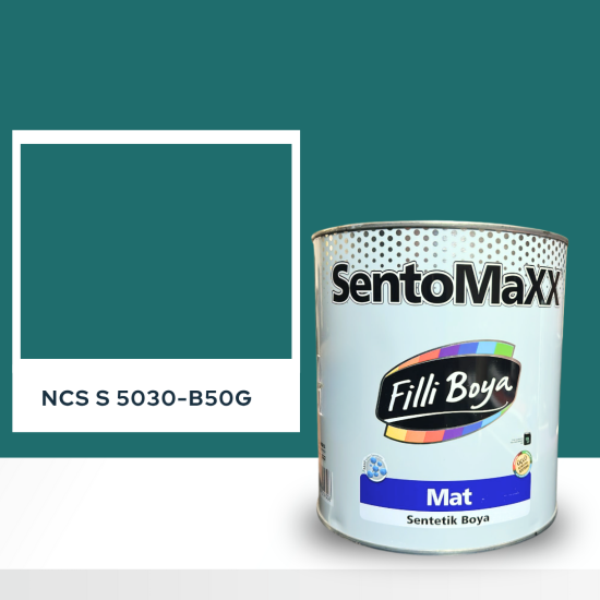 Filli Boya Sentomaxx Boya NCS S 5030-B50G Filli Boya Sentomaxx Boya NCS S 5030-B50G