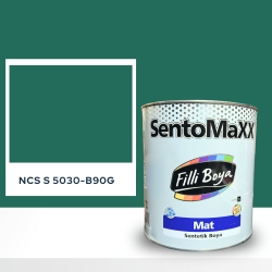 Filli Boya Sentomaxx Boya NCS S 5030-B90G