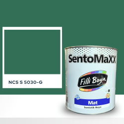 Filli Boya Sentomaxx Boya NCS S 5030-G