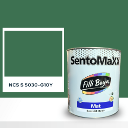 Filli Boya Sentomaxx Boya NCS S 5030-G10Y
