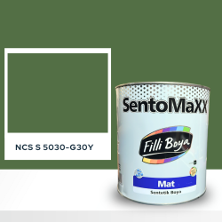 Filli Boya Sentomaxx Boya NCS S 5030-G30Y