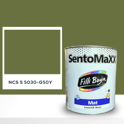 Filli Boya Sentomaxx Boya NCS S 5030-G50Y