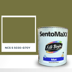Filli Boya Sentomaxx Boya NCS S 5030-G70Y