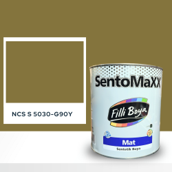 Filli Boya Sentomaxx Boya NCS S 5030-G90Y
