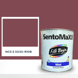 Filli Boya Sentomaxx Boya NCS S 5030-R10B