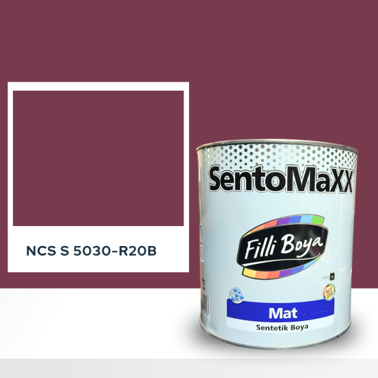 Filli Boya Sentomaxx Boya NCS S 5030-R20B