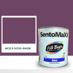 Filli Boya Sentomaxx Boya NCS S 5030-R40B