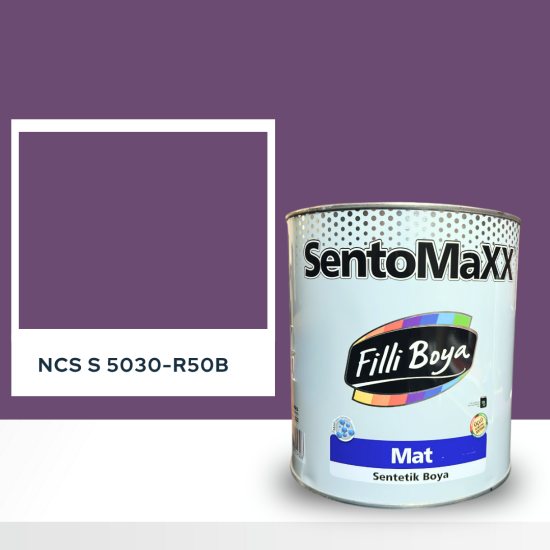 Filli Boya Sentomaxx Boya NCS S 5030-R50B