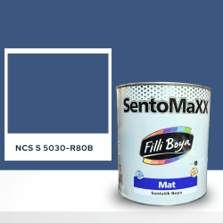 Filli Boya Sentomaxx Boya NCS S 5030-R80B
