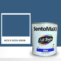 Filli Boya Sentomaxx Boya NCS S 5030-R90B