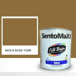 Filli Boya Sentomaxx Boya NCS S 5030-Y10R