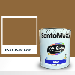 Filli Boya Sentomaxx Boya NCS S 5030-Y20R