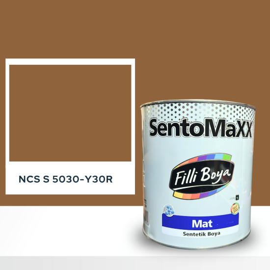 Filli Boya Sentomaxx Boya NCS S 5030-Y30R