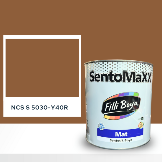 Filli Boya Sentomaxx Boya NCS S 5030-Y40R