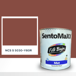 Filli Boya Sentomaxx Boya NCS S 5030-Y80R