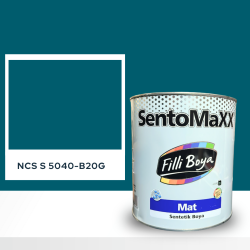 Filli Boya Sentomaxx Boya NCS S 5040-B20G