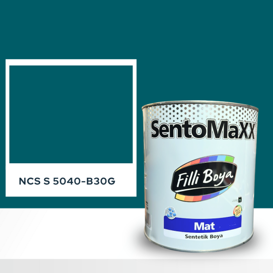 Filli Boya Sentomaxx Boya NCS S 5040-B30G