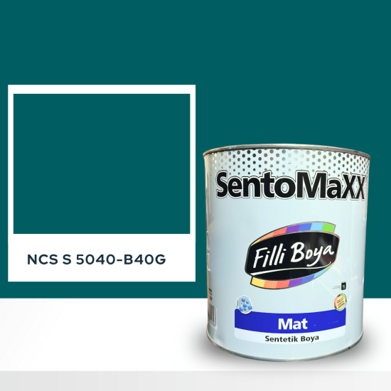 Filli Boya Sentomaxx Boya NCS S 5040-B40G