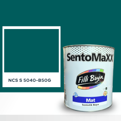 Filli Boya Sentomaxx Boya NCS S 5040-B50G