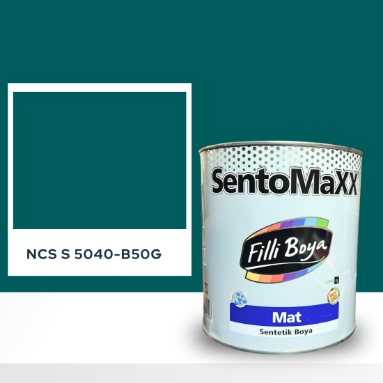 Filli Boya Sentomaxx Boya NCS S 5040-B50G Filli Boya Sentomaxx Boya NCS S 5040-B50G