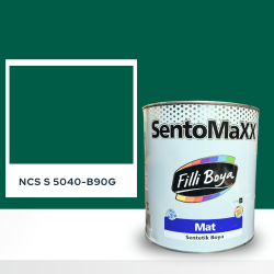 Filli Boya Sentomaxx Boya NCS S 5040-B90G