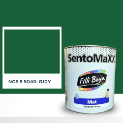 Filli Boya Sentomaxx Boya NCS S 5040-G10Y
