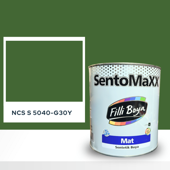 Filli Boya Sentomaxx Boya NCS S 5040-G30Y