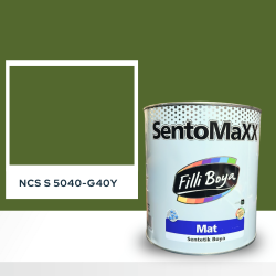 Filli Boya Sentomaxx Boya NCS S 5040-G40Y