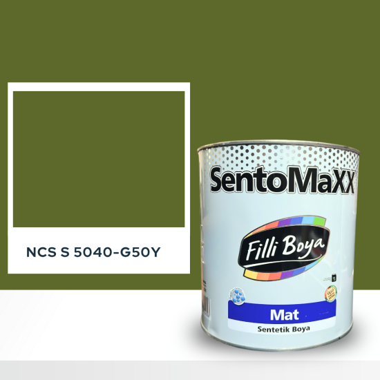 Filli Boya Sentomaxx Boya NCS S 5040-G50Y