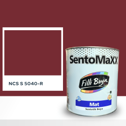 Filli Boya Sentomaxx Boya NCS S 5040-R