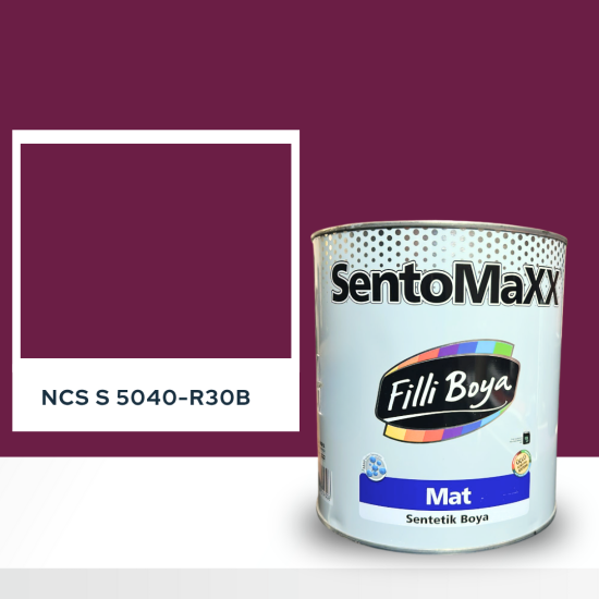 Filli Boya Sentomaxx Boya NCS S 5040-R30B