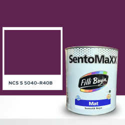 Filli Boya Sentomaxx Boya NCS S 5040-R40B