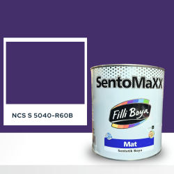 Filli Boya Sentomaxx Boya NCS S 5040-R60B