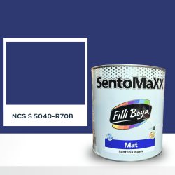 Filli Boya Sentomaxx Boya NCS S 5040-R70B