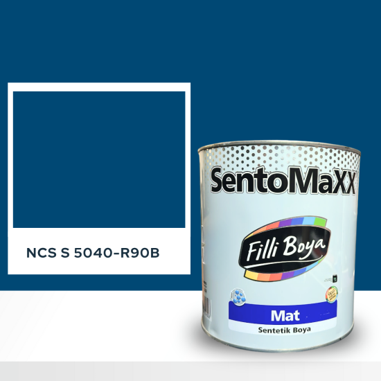 Filli Boya Sentomaxx Boya NCS S 5040-R90B