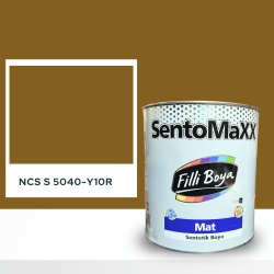 Filli Boya Sentomaxx Boya NCS S 5040-Y10R