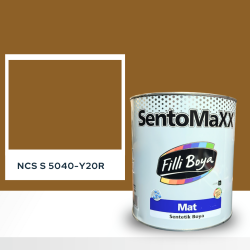 Filli Boya Sentomaxx Boya NCS S 5040-Y20R