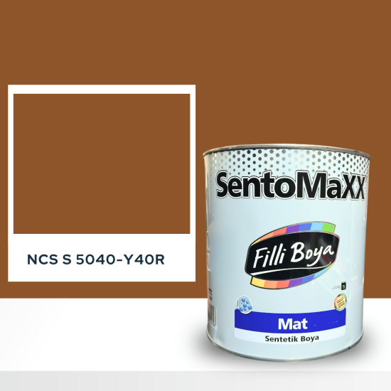 Filli Boya Sentomaxx Boya NCS S 5040-Y40R