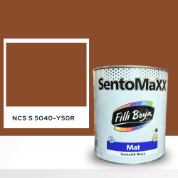 Filli Boya Sentomaxx Boya NCS S 5040-Y50R