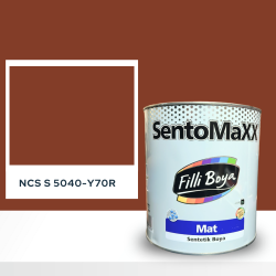 Filli Boya Sentomaxx Boya NCS S 5040-Y70R